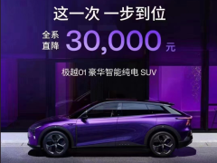 中国车市，惨胜？